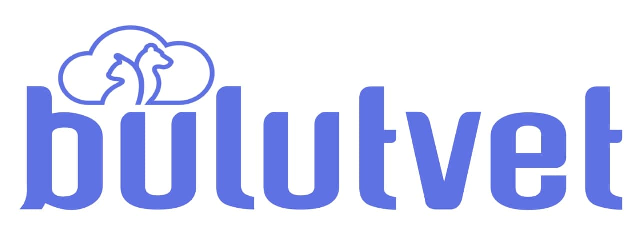 bulutvet