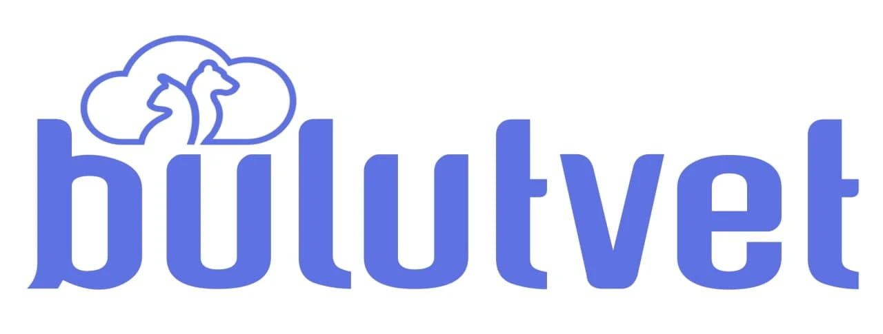 bulutvet
